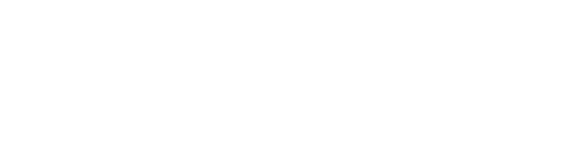 Ubiquitous Preferred Services