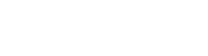 Ubiquitous Preferred Services